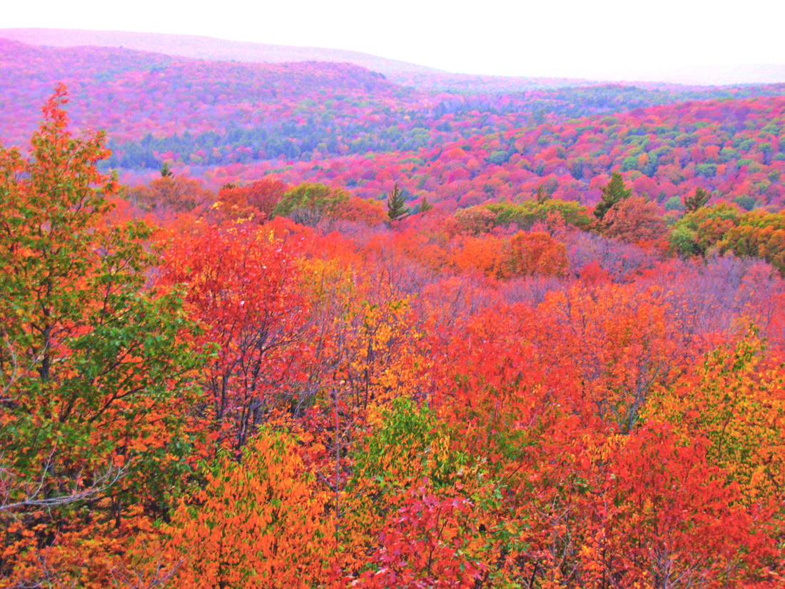 DNR to limit number of backcountry campsites at Porcupine Mountains